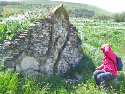 Прикрепленное изображение: 059.jpg